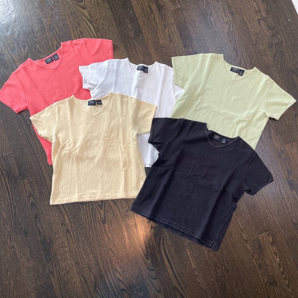 BUNDLE: Petite Medium V-Neck Tshirts - Sonoma Petite Brand